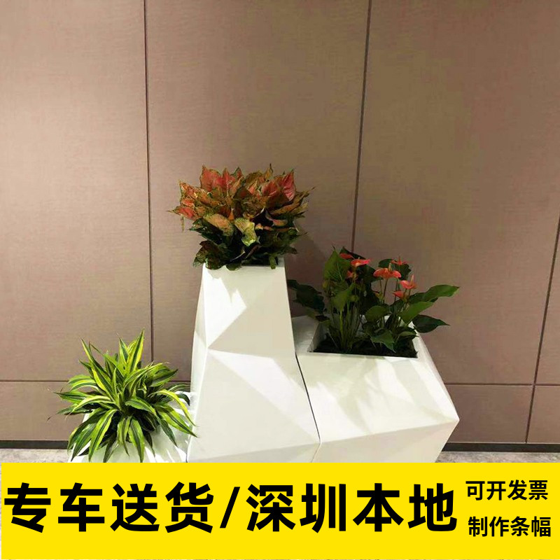 三件套大型组合盆栽公司前台大堂三件套高级摆件深圳同城配送绿植