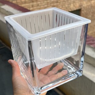 厂家直销正方形玻璃花瓶水培绿萝铜钱草红掌白掌植物透明插花摆件