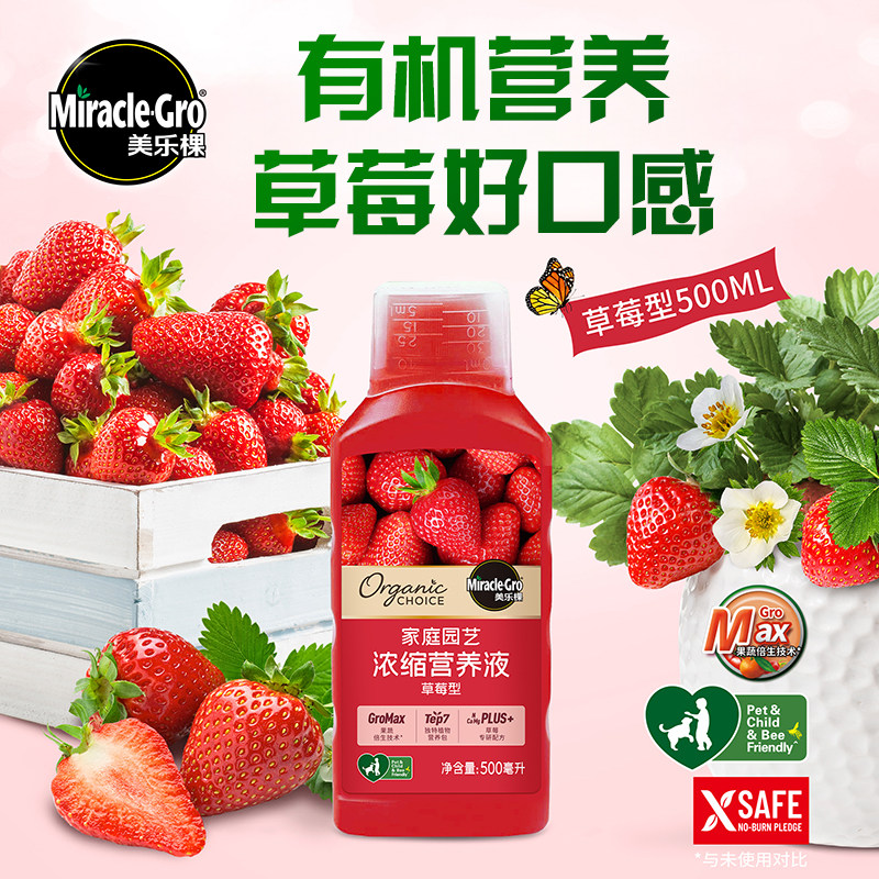 美乐棵草莓专用营养液植物盆栽种植有机肥料高钾液体肥浓缩水溶肥