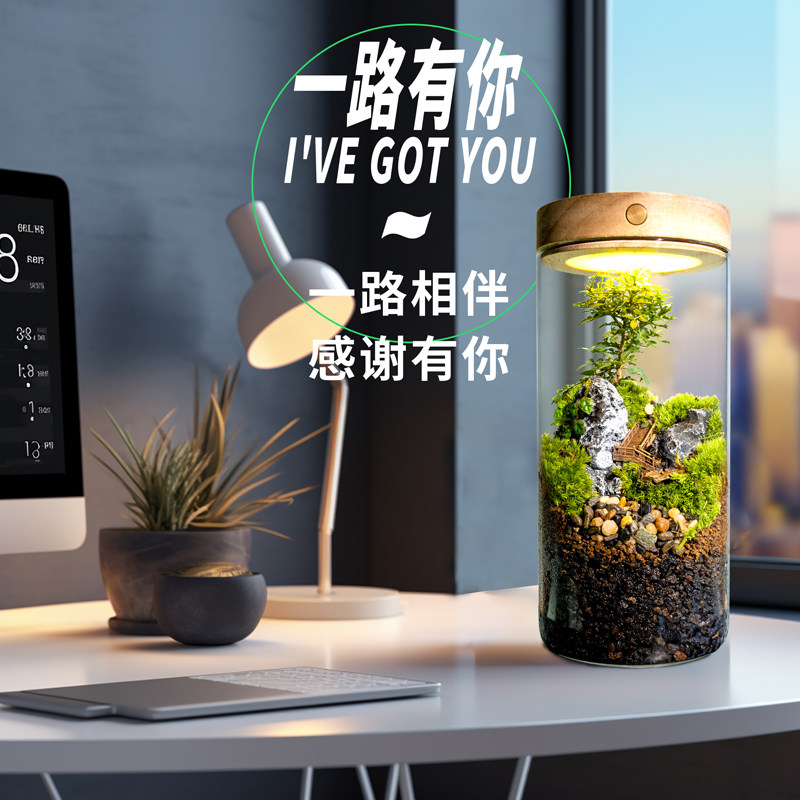 丘辰青苔藓微景观生态瓶办公室内桌面鲜活绿植DIY造景盆栽小摆件