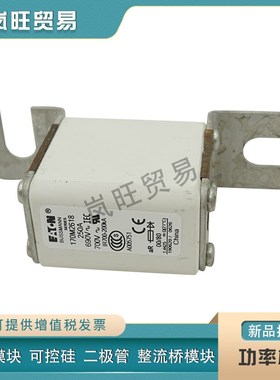 全新快速熔断器保险丝170M3158 3159z 3160 3161 3162 3163 3164