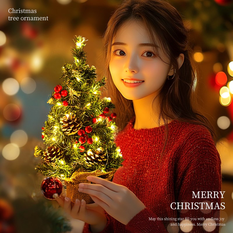 小型圣诞树迷你摆件圣诞节装饰x品桌面上拍照道具2024新款耶诞布