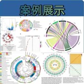 微生物组16s扩增子宏基因组生信分析qiime2物种丰度多样性lefse服