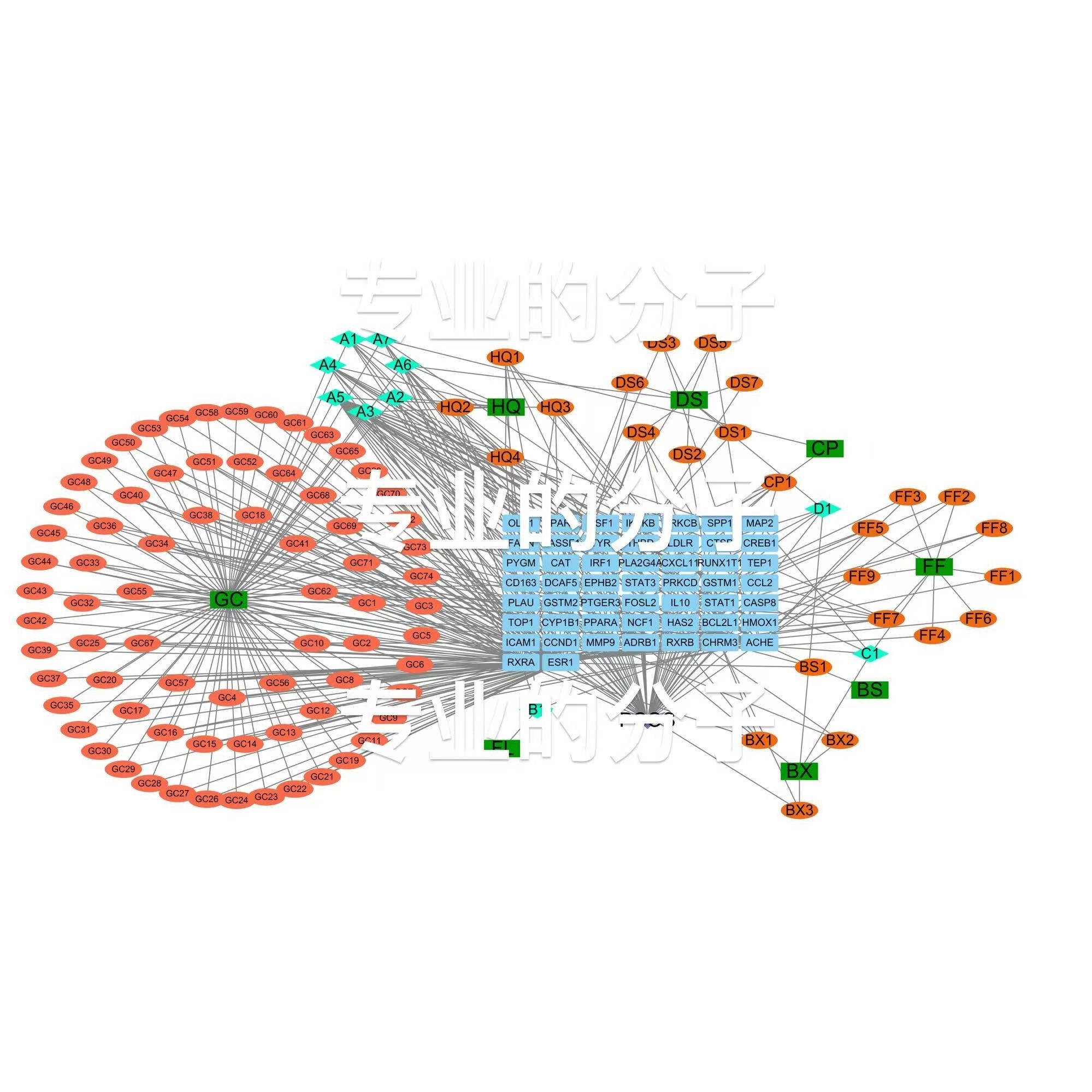 分子动力学模拟Gromacs 网络理学分析 中复方RMSD MMPBSA报告