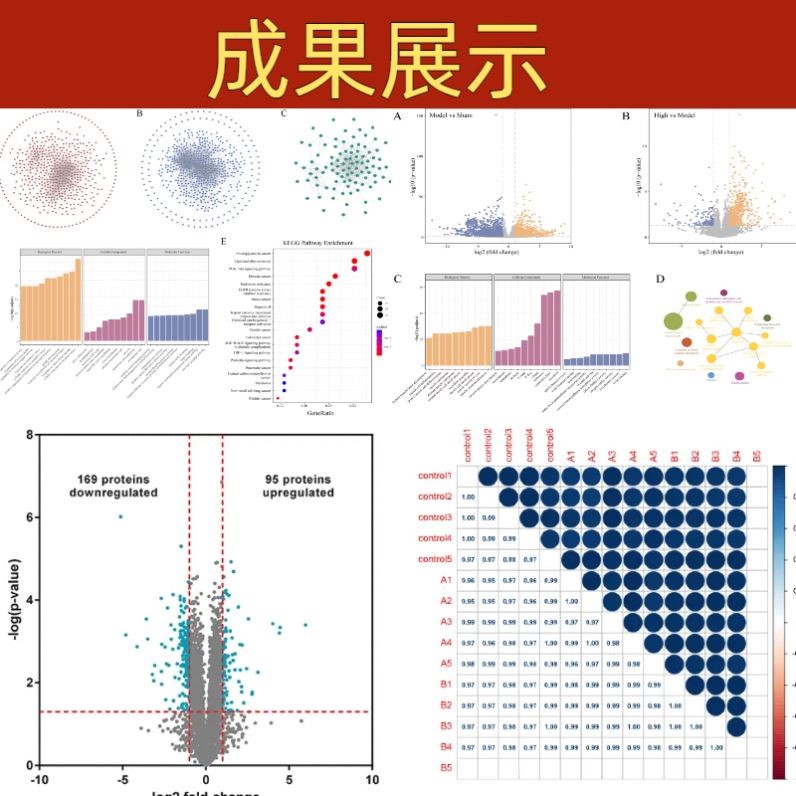 生信分析 2-9分单细胞测序 转录组 数据库挖掘 科研服务