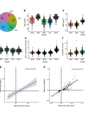 citespace 作图代分析共现聚类时区时间线国家文献可视化