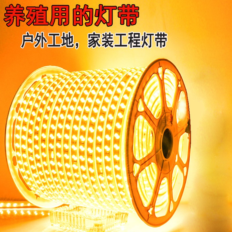 led灯带220v工地户外养殖2835-5730双排防水高亮白光暖光工程灯带