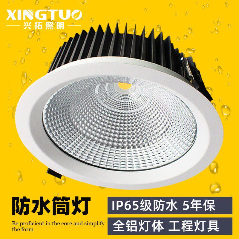 防水筒灯户外防雨嵌入式led灯室外门头地铁站地下通道雨棚灯IP65