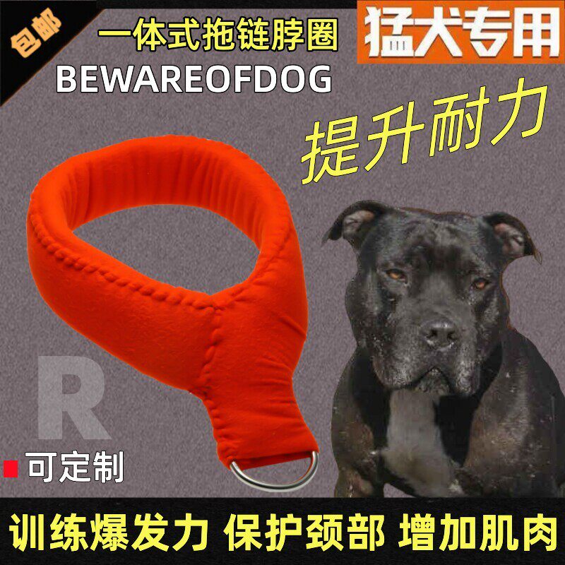 比特犬拖链加棉脖圈斯塔福猛犬托重训练项圈大型狗负重拖重带颈圈