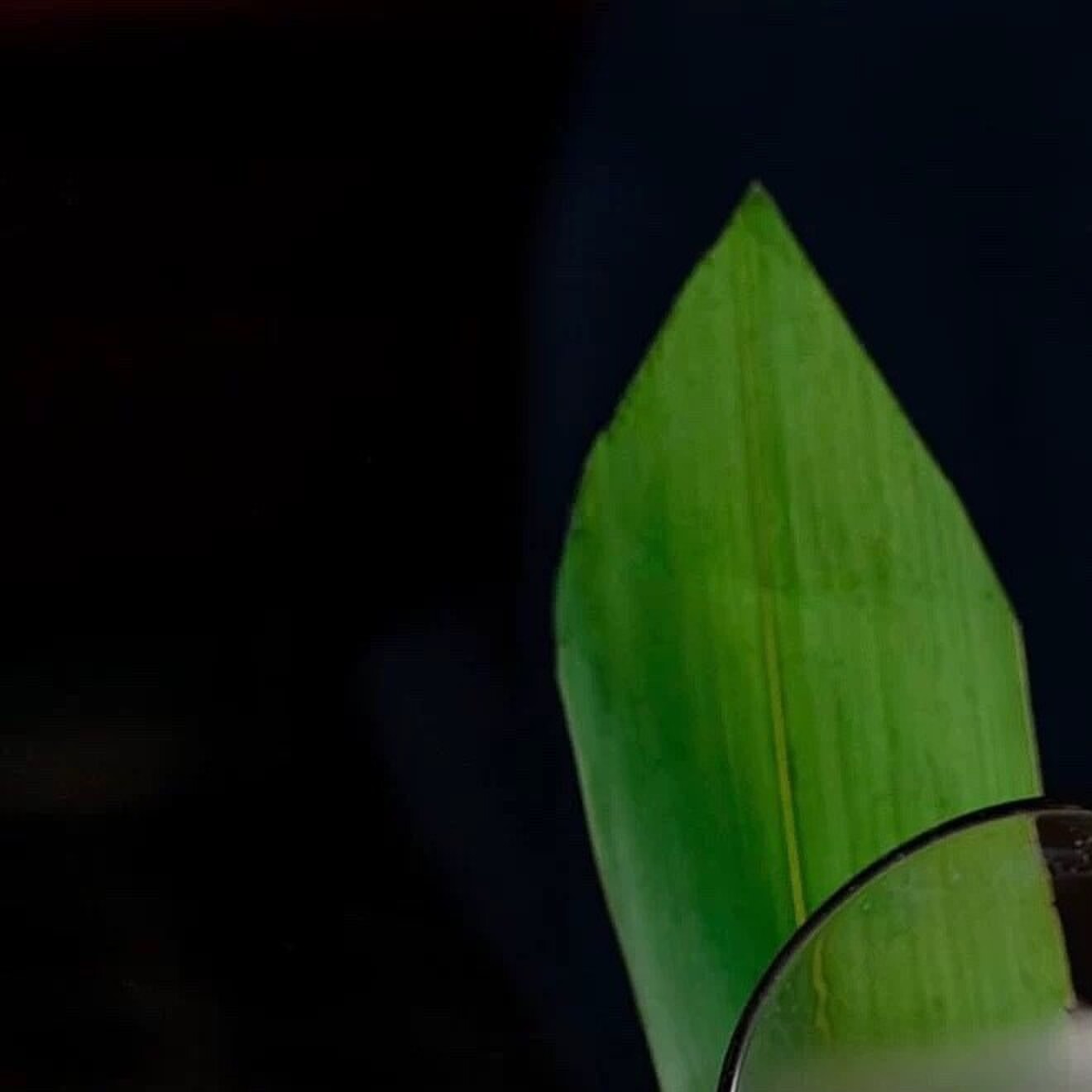 酒吧启航 分子创意咖啡调酒杯烟雾效果酒杯套装不倒翁酒杯玻璃杯