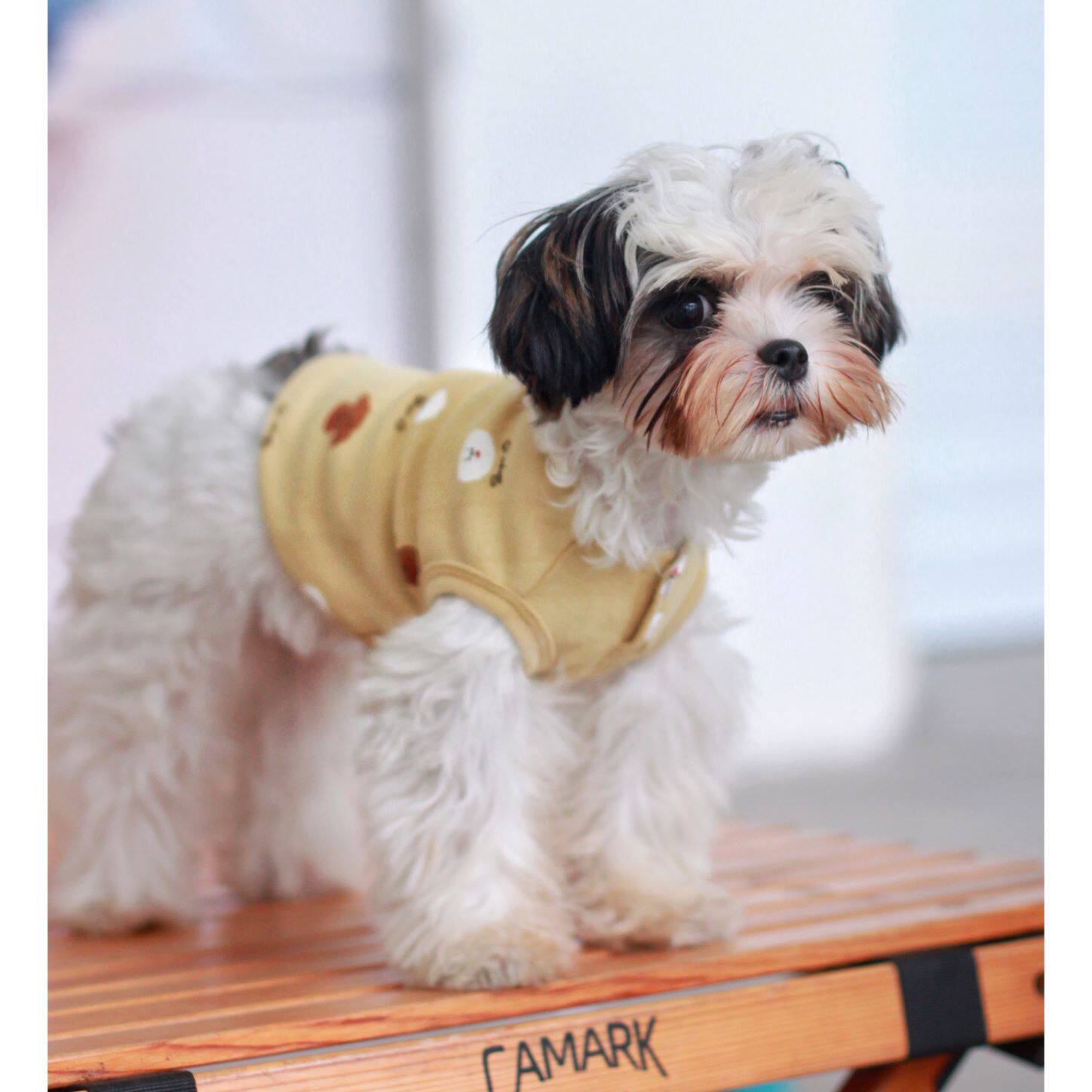 猫咪狗狗衣服英短加菲马尔济斯约克夏泰迪犬韩版印花穿棉钮扣背心