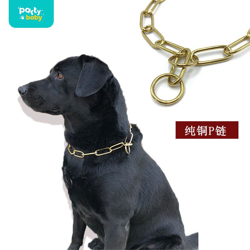 宠物狗颈链P链铜方目脖套中大型犬金毛马犬德牧杜宾金属项圈