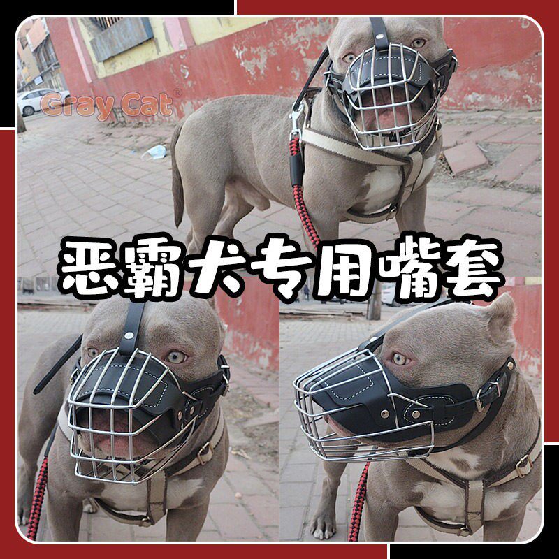 恶霸犬专用狗狗嘴套卡斯罗比特犬藏獒防咬人误食护嘴巴套嘴罩