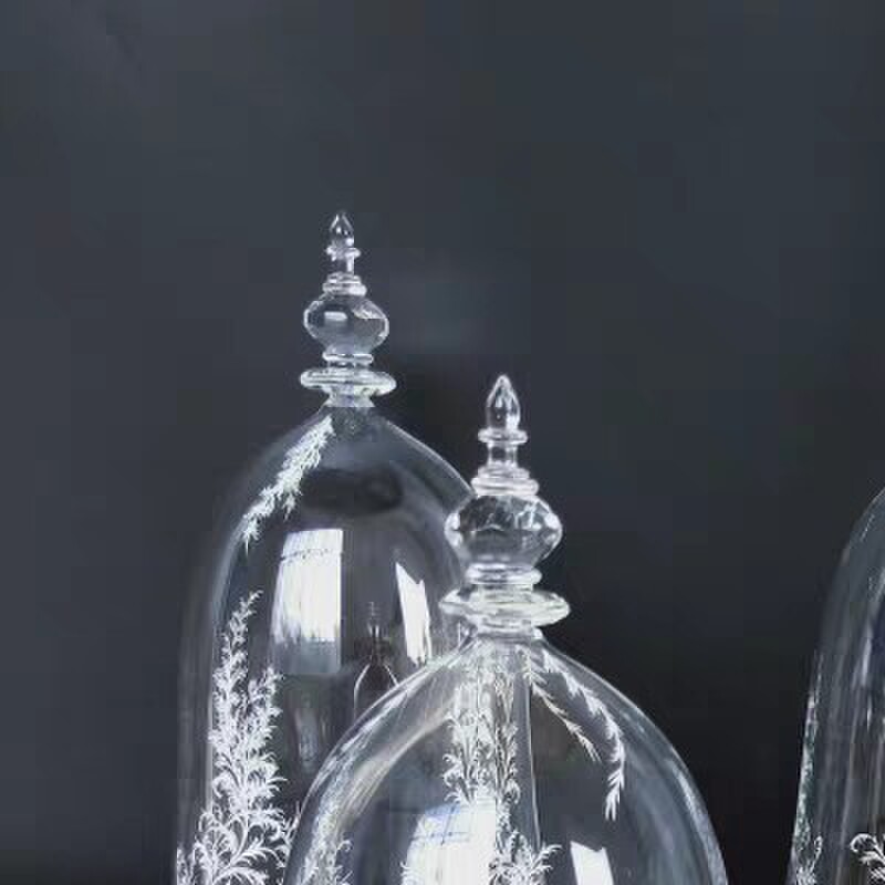 创意美女与野兽电影同款永生玫瑰花防尘玻璃罩 婚礼表白礼物 包邮