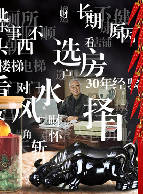 正北厕所化解卫生间在户型住宅办公室分析水牛阳台洗衣机安忍水瓶