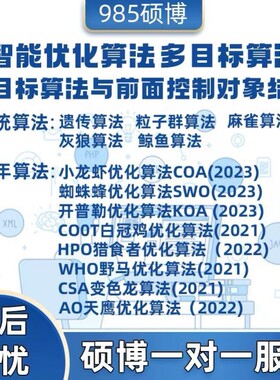 matlab机器人机械臂无人机python自动驾驶无人船控制规划ROS避障