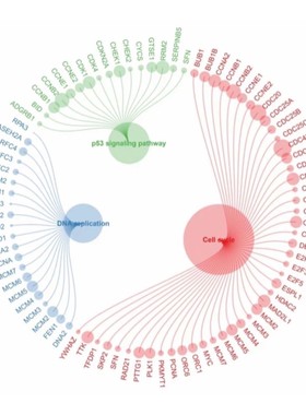 Knime神经网络聚类回归可视化指导