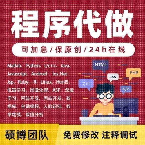 程序代写代做python代写java代编程/c++等众多语言一应俱全
