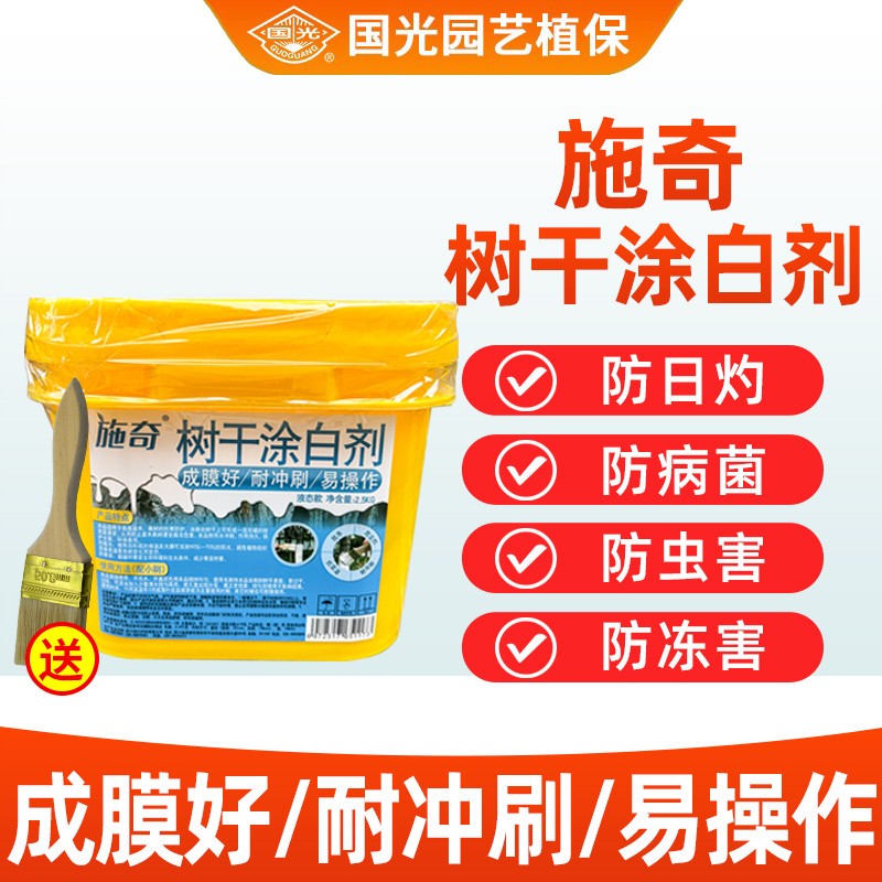 冬季园林防虫防冻果树树干免兑水涂白剂刷白树木送刷子