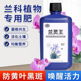 兰灵王兰花营养液兰陵王肥料君子兰蝴蝶兰药多箭素爆芽素