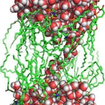 Gromacs远程安装编译2025Linux/mac/win分子动力学软件模拟