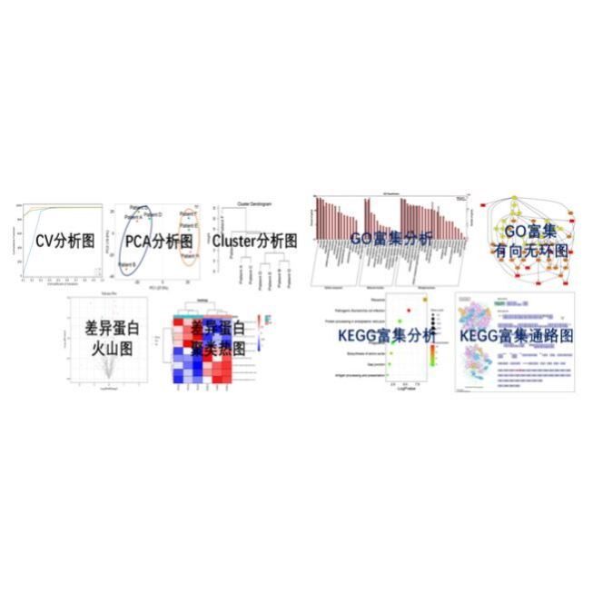 生信分析GEO,TCGA,GSEA,WGCNA,KEGG差异基因通路富集网络药理PPI