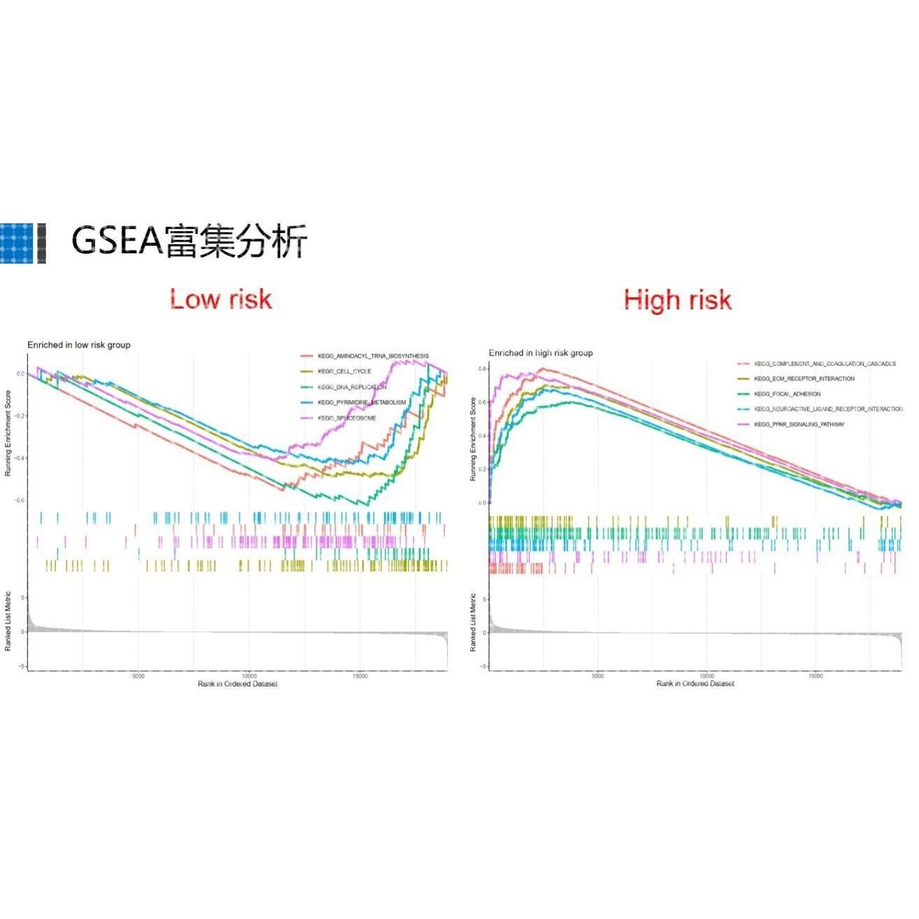 TCGA数据库免疫基因预后(免疫治疗/生存分析/WGCNA共表达网络)