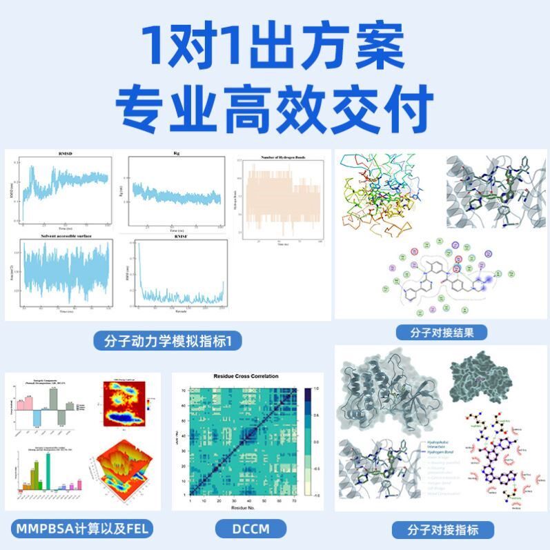 计算生物学,分子对接,蛋白-小分子对接,分子动力学模拟