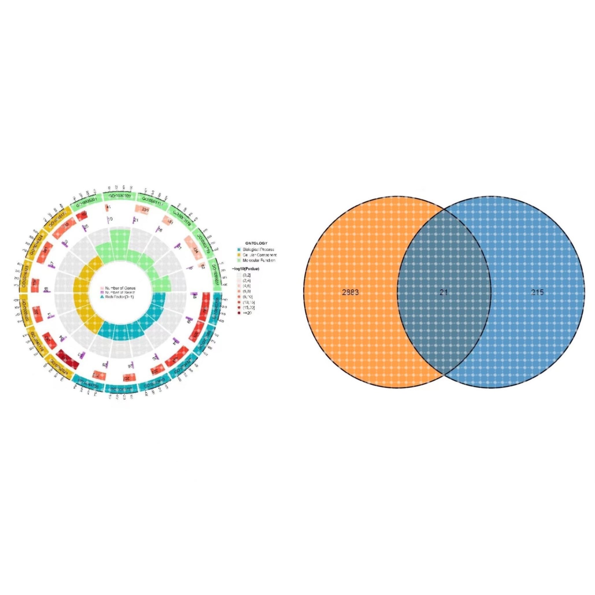 专注医学生信漫医典SPSS数据 分析eviews实证 Stata问卷metaR代做