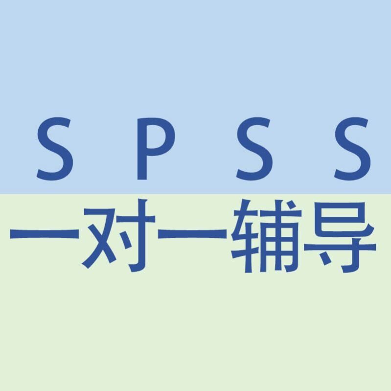 spss分析指导一对一问卷辅导统计教学SPSS数据调整服务