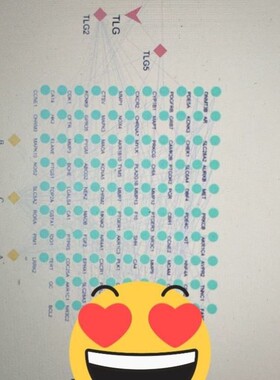 宏基因组病毒组 病毒分类宿主预测 生态功能病毒圈 专业分析