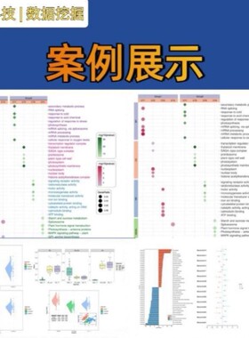 影像组学分析生信服务CT/MRI特征提取SCI论文支持热门推荐