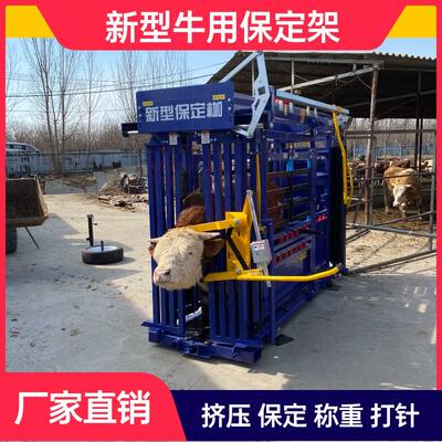 牛保定架牛用枷称重耐用