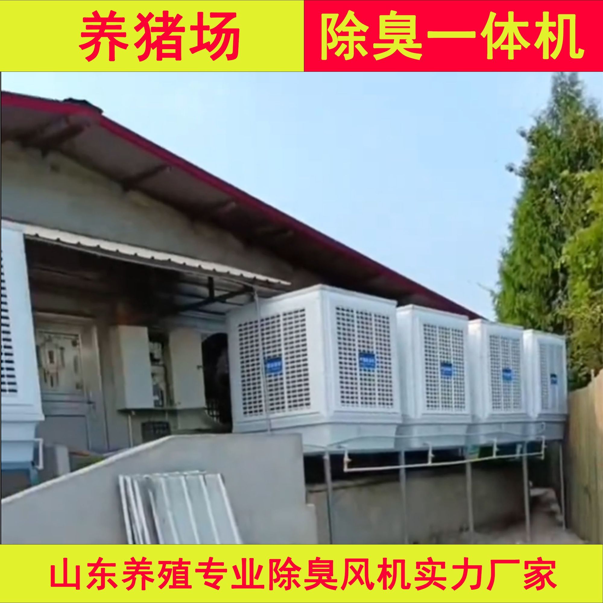 猪舍除臭风机猪圈大棚除味机养殖场除臭设备猪用空气净化风机