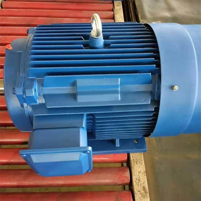 山东源头厂家直供YE3-180M-2/22W低噪音三相异步电动机质保