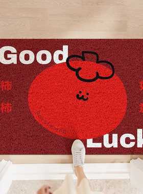 Cel耐脏垫出租屋丝装饰地垫除尘可红色裁剪防滑垫圈地入户门脚垫