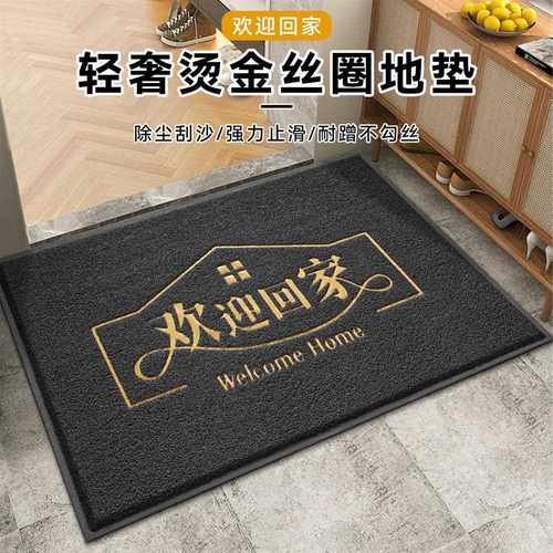 越南耐磨门点家用大门口出入地垫高端脚垫地毯平安丝圈玄关入户门