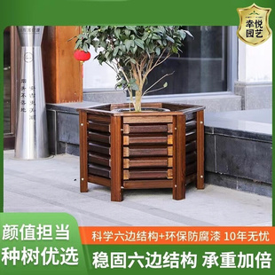 QX防腐木花箱戶外庭院果樹種植箱別墅門口鐵樹大花盆特大號種樹箱