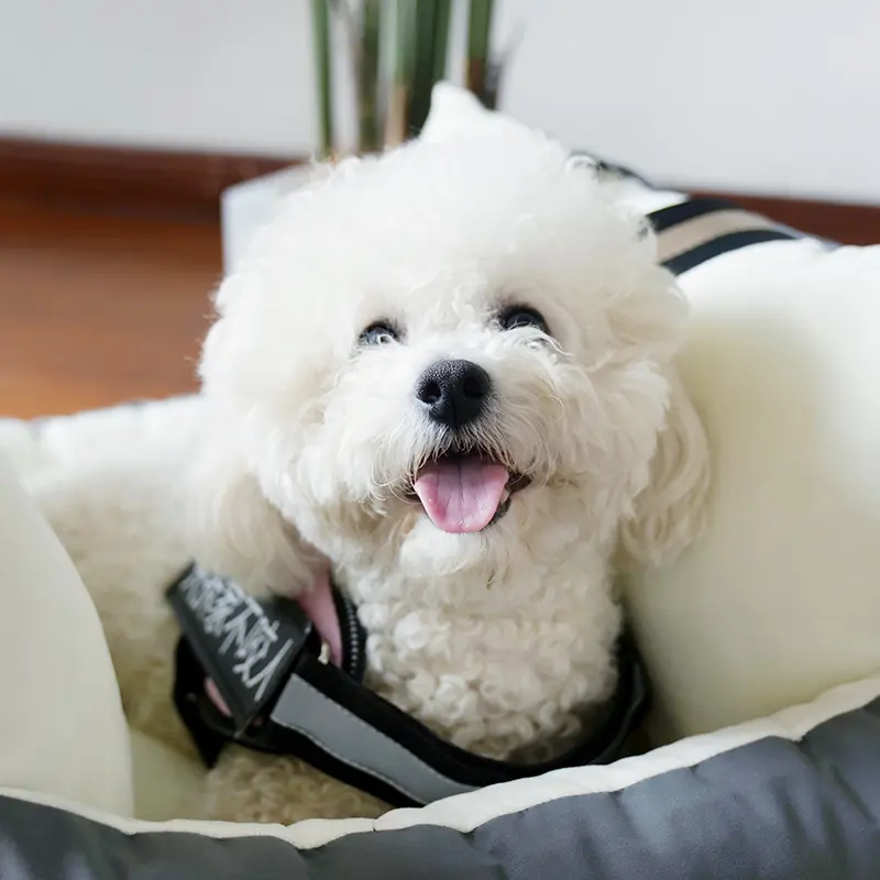 宠物车载安全座椅窝垫狗窝双面面料全可拆洗宠物用品