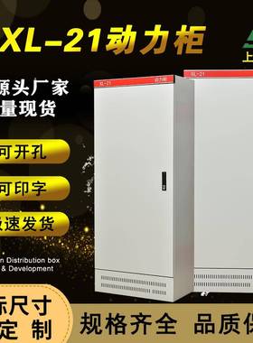 低压配电柜动力柜免费开孔带金属锁动力柜XL-21低压配电柜箱