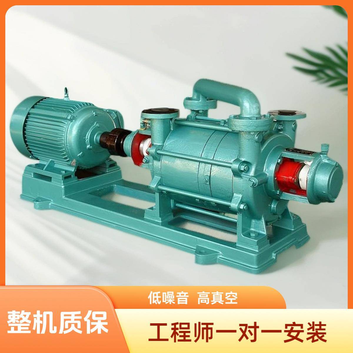 牌水循环电动真空泵2sk-6双级真空泵水环式真空泵