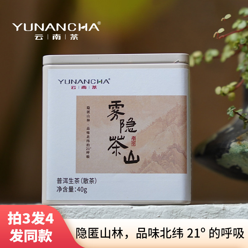 云南茶叶大叶种毛茶特产口粮茶普洱茶生茶雾隐茶山古树散茶40g