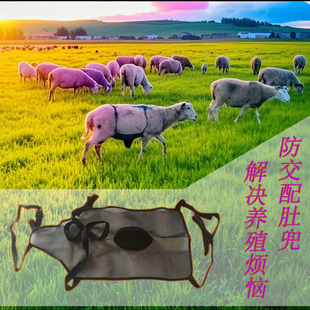 畜牧养殖羊肚兜透气防公羊爬母羊肚兜草原种羊防交配肚兜可调裹兜