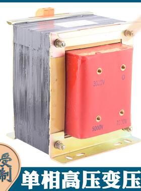 1000W高压灌封变压器220V转3000V5000V7000V高压除湿电源