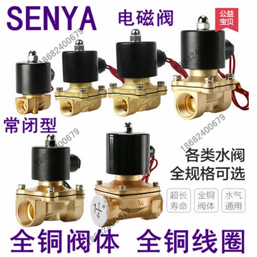 senya 森亚电磁阀水阀2w-500-50 2寸 G2 12v 24v 220v 36v 110常