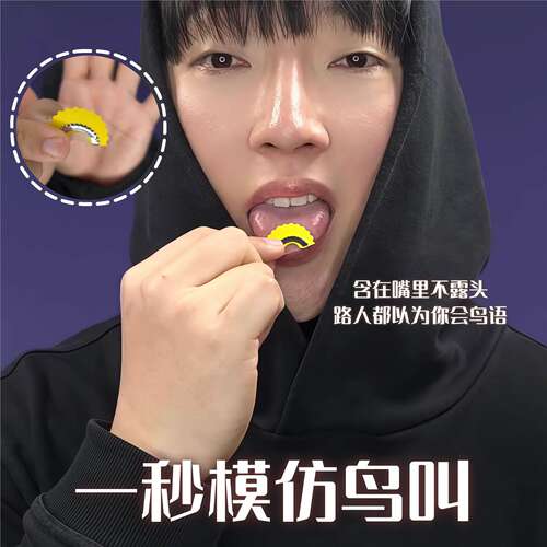 新款魔术鸟哨口含模仿整蛊道具