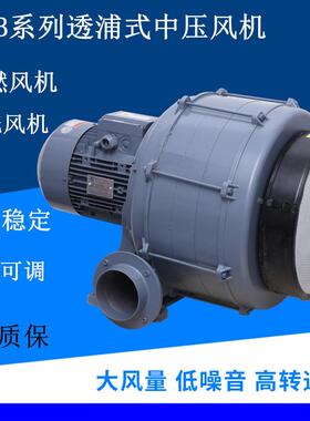 东莞HTB75-104透浦多段式鼓风机工业炉窖配套用中压风机厂家