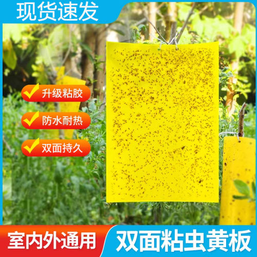 黄板双面粘虫板防水耐用粘力超强
