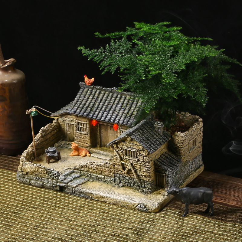 文竹盆景植物室内小盆栽客厅办公室桌面微景观造景老W房子模型摆