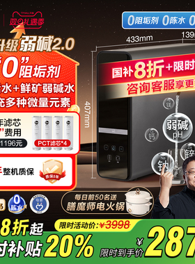 美国瑞美弱碱净水器矿化直饮机厨下式过滤ro反渗透0阻垢剂1200G